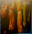 Окраска печени цихлид при разных диетах (к докладу Олега Юнчиса)
