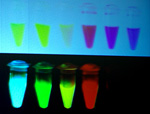 Флюоресцентные белки при дневноми ультрафиолетовом свете