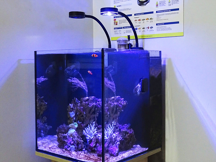 Морской бриз - готовое решение - морской аквариум в супермаркете Аква Лого Сокол
