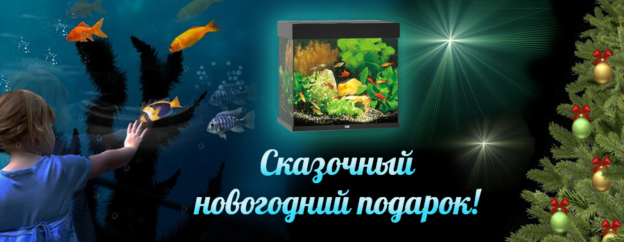 Cоздайте уголок живой природы у себя дома! Подарите себе и любимым аквариум!