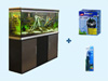 Специальное предложение при покупке аквариумов Anubias Euro Style