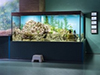 Новый аквариум для илистых прыгунов в «Москвариуме» на ВДНХ!