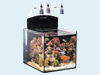 Нано-рифовый аквариум Blenny всего за 21999 рублей!