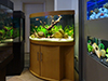 Большая распродажа аквариумов в салоне «на Соколе»!