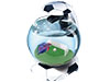 Тематический аквариум для любителей футбола. Ограниченная серия!