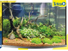 Мастер-класс по запуску аквариума с живыми растениями от Tetra