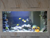 Новый проект в портфолио аквариумов в интерьере салона