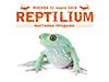 Весенняя выставка-продажа террариумных животных Replilium