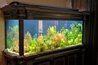 Резной аквариум в салоне 