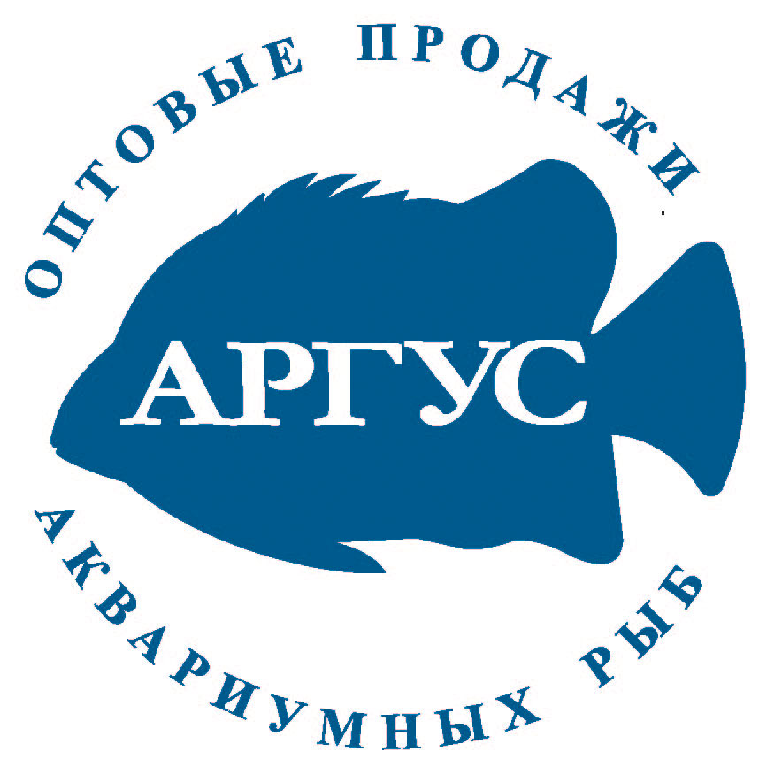 Аргус оптовая торговля аквариумной рыбой