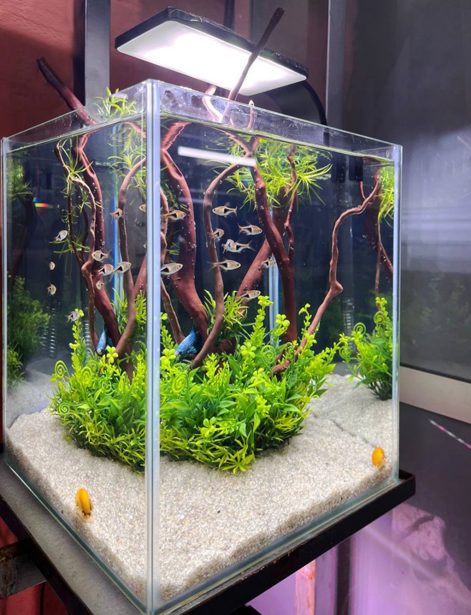 Аквариум готовое решение Остров в супермаркете Аква Лого