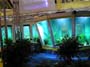 аквариум на  стенде Tetra 