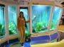 аквариум на стенде Tetra 