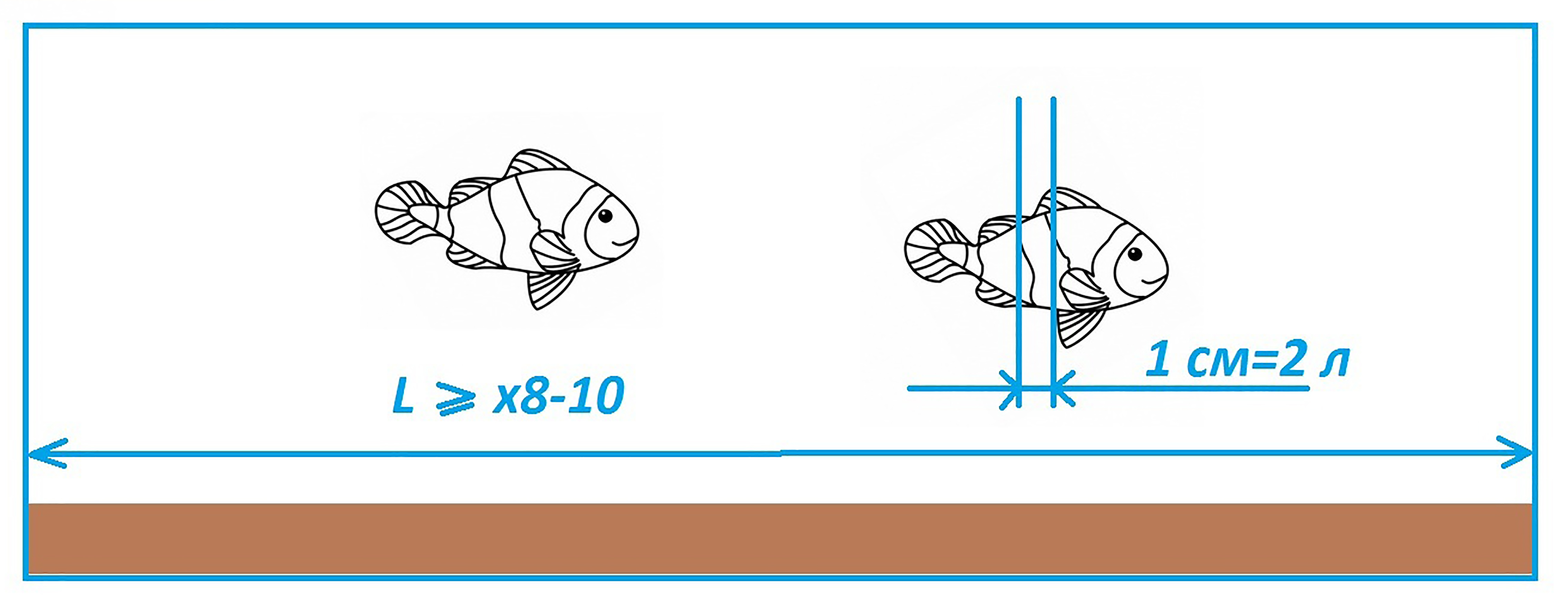на 1 см длины тела рыбы должно приходиться 1,5 - 2 литра воды