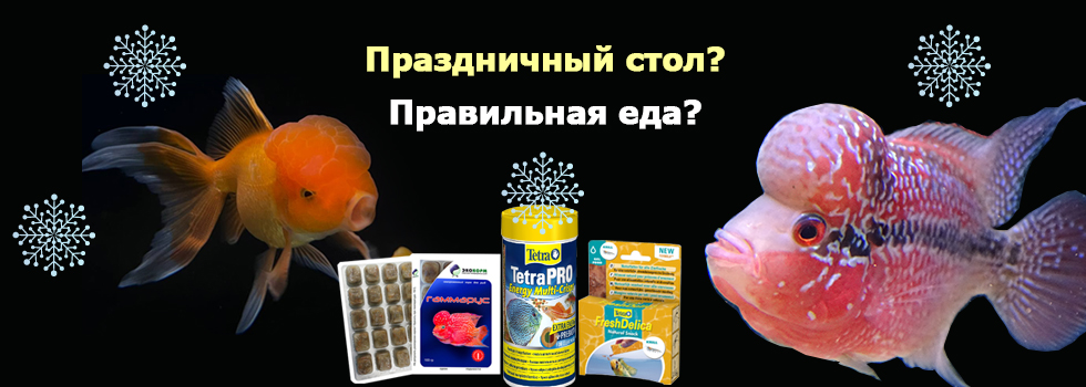 Большой выбор правильных кормов и лакомства для рыб в супермаркетах Аква Лого