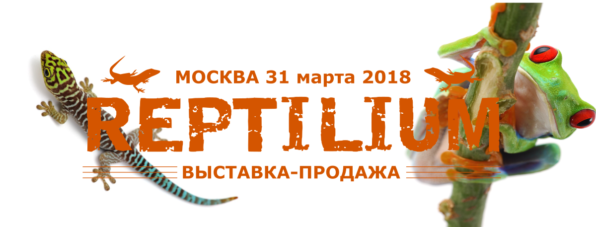 ВЫставка-продажа террариумных животных Reptilium