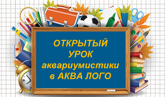 Открытый урок аквариумистики в Аква Лого на Соколе 21 сентября