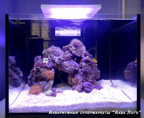 Морской аквариум - готовое решение ТАИНСТВЕННАЯ ПЕЩЕРА (40 литров)