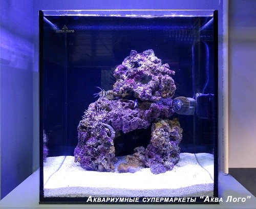 Морской аквариум  - готовое решение МОРСКАЯ СКАЗКА (60 литров)