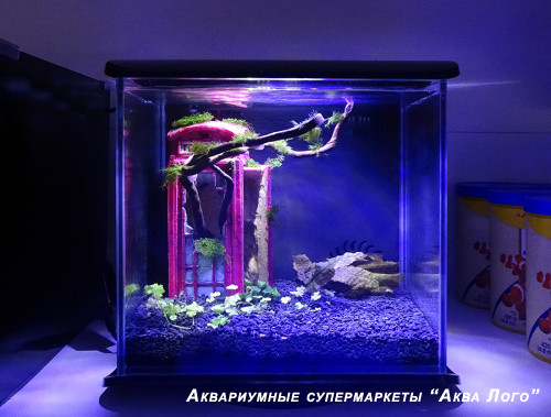 Готовое решение - аквариум - Силуэт. Объем аквариума 12 литров.