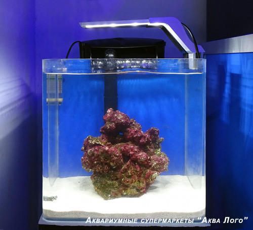 Готовое решение - аквариум морской с наполнением (камни живые) - объем аквариума 27 литров