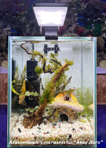 Готовое решение - аквариум - Домик гнома. Объем аквариума 10 литров.