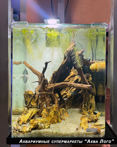 Готовое решение - аквариум пресноводный -  Данте - объем аквариума 20 литров
