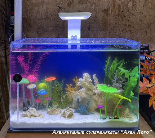 Готовое решение -  аквариум пресноводный  - GLO-ландия - объем аквариума 16 литров