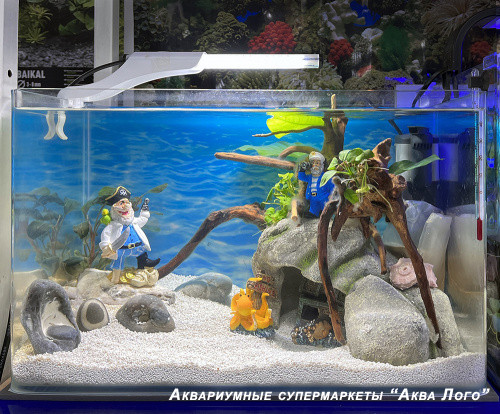 Готовое решение -  аквариум пресноводный  - Остров сокровищ - объем аквариума 23 литра