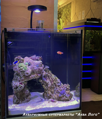 Готовое решение -  морской аквариум - Немо  - объем аквариума 60 литров