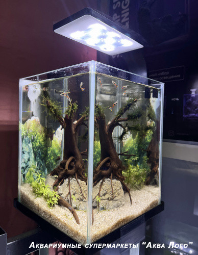 Готовое решение - аквариум - Сакура. Объем аквариума 20 литров