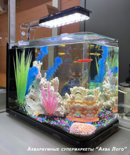 Готовое решение - аквариум пресноводный - На дне морском. Объем аквариума 31 литр.