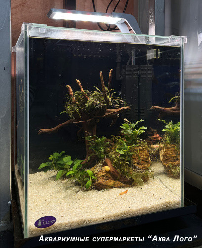 Готовое решение - аквариум пресноводный - Тундра. Объем аквариума 31 литр.