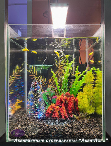 Аквариум пресноводный с наполнением "Вулканический остров" 18 л