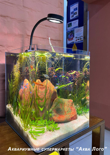 Пресноводный аквариум - готовое решение - Камни.Объем аквариума 30 литров.