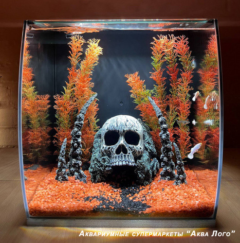 Аквариум пресноводный с наполнением "Седьмой круг" 35 литров