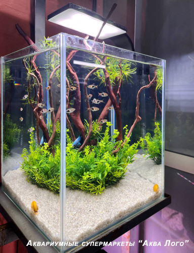 Аквариум пресноводный с наполнением "Остров" 19 литров