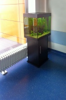 В просторном холле в зале ожидания процедурного отделения также есть аквариум, о котором будет заботиться наш специалист