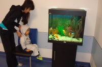 Теперь можно сфотографироваться у аквариума вместе с мамой и загадать желание