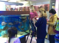 И знатокам и тем, у кого только появился первый аквариум, оказался очень полезен наш семинар - Аквариум для детей