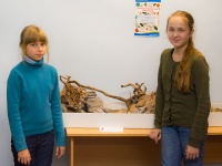 Самые юные участницы конкурса "Аквариумных композиций".