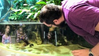 У аквариума со скатом и черепахой Тортиком - знаменитым героем соцсетей салона.