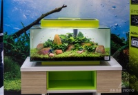 Небольшой аквариум с трехсторонним обзором Hagen Edge c нарядной салатовой отделкой