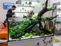 С интересным растительным оформлением в стиле Nature aquarium