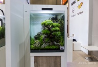 В первую очередь отметим, что в этом году на выставке было много красиво оформленных аквариумов
