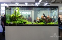 Большой растительный аквариум с дискусами