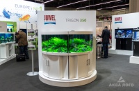 Новинка от компании Juwel - белый угловой аквариум Trigon 350 с красивым растительным оформлением