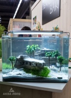 Новый аквариум Dennerle с LED - светильником с "тропическим" оформлением