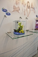 На Интерзоо-2012 были представлены наноаквариумы самых различных форм и расцветок (Marina от Hagen)