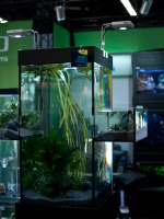 Некоторые компании привлекали внимание посетителей аквариумами нестандартных форм. Например, аквариум "с ушами", в котором рыба могла перемещаться не только в пределах прямоугольной емкости, но и заплывать в боковые проемы.